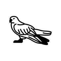 White-tailed Kite Glyph Icon, Vector illustration