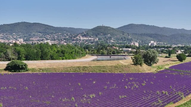 Lavande Drone Provence