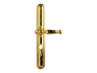 Golden door handle. Isolated PNG