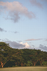 rainbow over the river