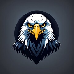Fototapeta premium American eagle set. Bald eagle logo. Wild birds drawing. Head of an eagle