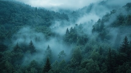7. Morning mist rolling through a dense forest, foggy weather, mysterious ambiance