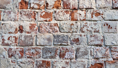 Ancient ruined brick wall with paint residue. Brick weathering. Selective focus