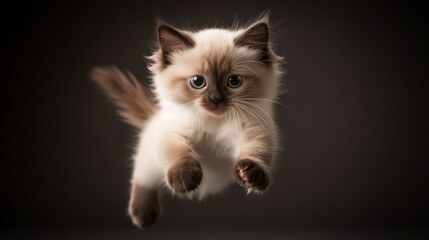 A playful kitten leaps into the air, showcasing its agility and charm.