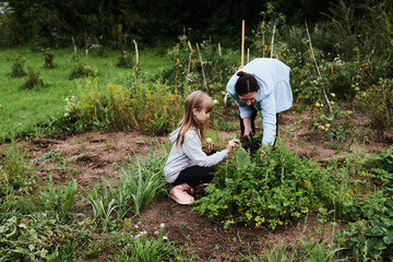 Little girl helping her mother work in the garden in the backyard of the house