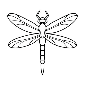 recommend clip art: Dragonfly Vector Illustration - Cartoon, Clipart, and Line Art Design.eps