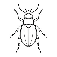 Beetle Vector Illustration - Cartoon, Clipart, and Line Art Design for Printable Graphics.eps