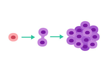 cancer tumor cell disease concept