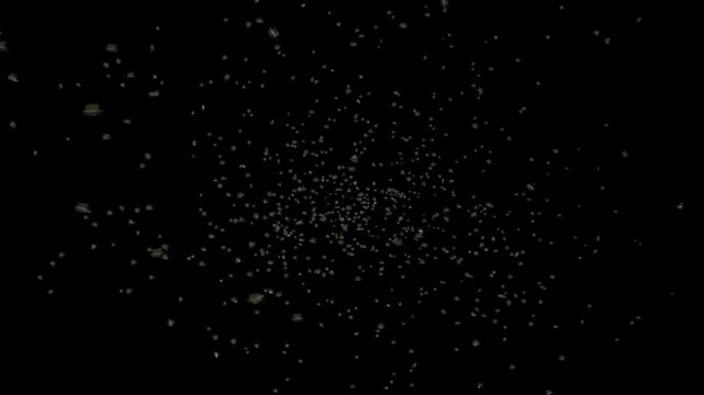 Flies flying into the frame and swarming.