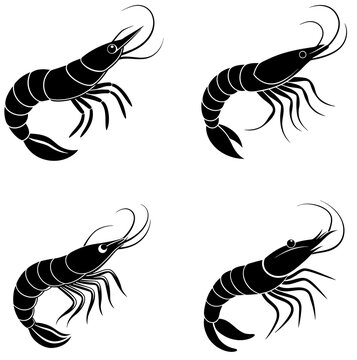 set of   camaron silhuette vector