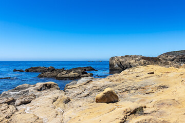 Point Lobos State Natural Reserve. Rocky beach, cypress forest, and Pacific Ocean, California Central Coast