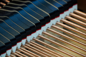 acoustic grand piano strings detail close up © Izanbar photos