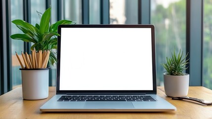 Fototapeta premium Modern workspace featuring a laptop, plant, and stationery, perfect for creativity and productivity in a bright environment.