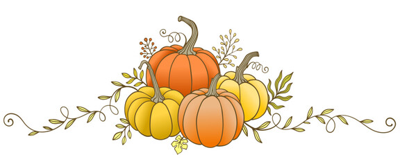 pumpkin with leaves, Pumpkin vector illustration suitable for thanksgiving, halloween,autumn,fall season design, vector eps