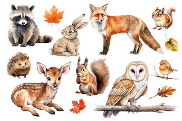 Naklejka premium PNG watercolor animals in Autumn element set, transparent background