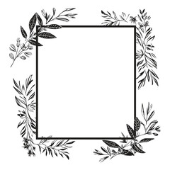 Set of decorative ornamental floral flower frames