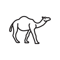 Camel Outline Icon, Vector illustration