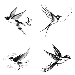 Fototapeta premium set of birds