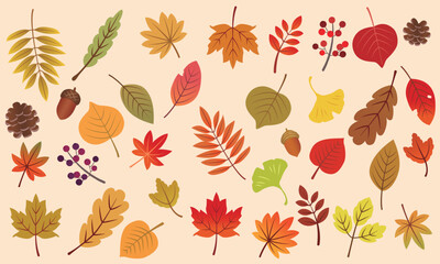 秋の葉っぱ　イラストセット 02