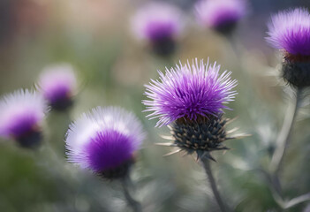Purple thistle bloom in a natural landscape, showcasing its intricate petals and surrounding greenery in the afternoon light