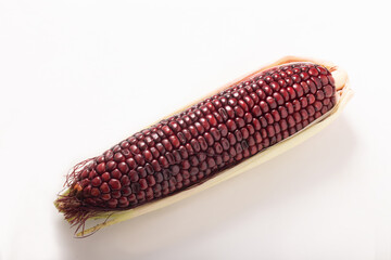 大和ルージュ 　赤いスイートコーン