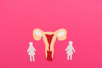 Paper uterus cutout with female figures on pink background symbolizing women's reproductive health