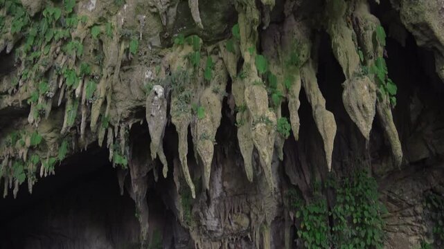 Amazing view of one of the world's largest caves in Malaysian Borneo, Mulu National Park.
