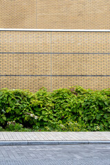 A neat row of green shrubs planted alongside a modern yellow brick building, contrasting the...