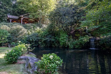 Obraz premium garden