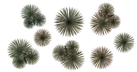 Abstract  Pattern of Radial Shapes, Nature Inspired, Green, Brown on transparent Background