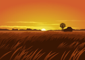 Amazing sunset over wheat field