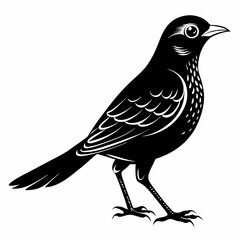 Nightingale Black silhouette