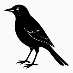 Nightingale Black silhouette