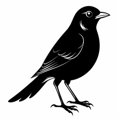 Nightingale Black silhouette