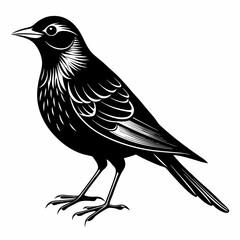 Nightingale Black silhouette