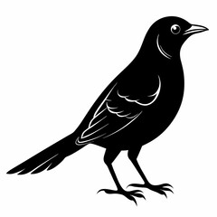 Nightingale Black silhouette