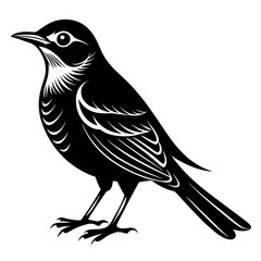 Nightingale Black silhouette