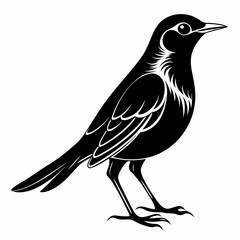 Nightingale Black silhouette