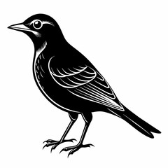 Nightingale Black silhouette