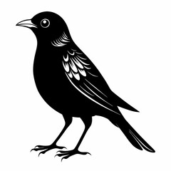 Nightingale Black silhouette