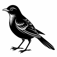 Nightingale Black silhouette