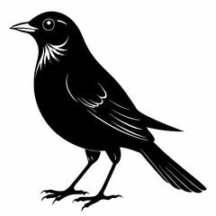 Nightingale Black silhouette