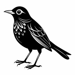 Nightingale Black silhouette