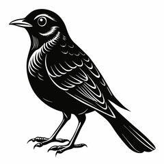 Nightingale Black silhouette