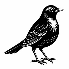 Nightingale Black silhouette