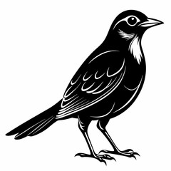 Nightingale Black silhouette