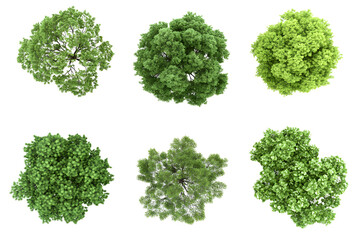 Obraz premium Collection of 3D Top view Green Trees isolated on transparent or white background, png