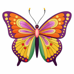 A Butterfly with White Background