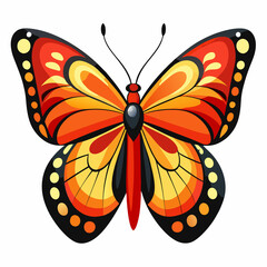 A Butterfly with White Background