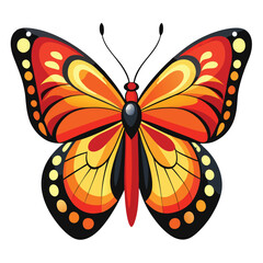 A Butterfly with White Background